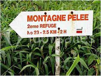 Location salle Le Morne-Rouge (Martinique) - Le Domaine De La Vallée #5
