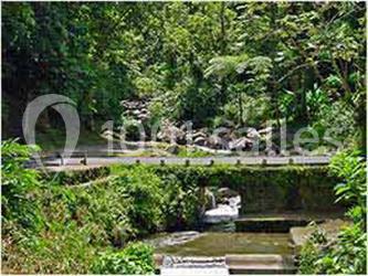 Location salle Le Morne-Rouge (Martinique) - Le Domaine De La Vallée #11