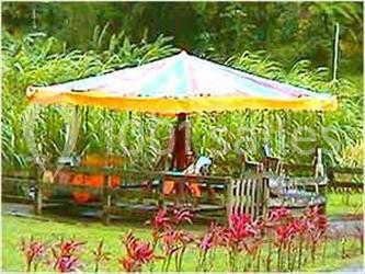 Location salle Le Morne-Rouge (Martinique) - Le Domaine De La Vallée #9