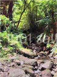 Location salle Le Morne-Rouge (Martinique) - Le Domaine De La Vallée #11