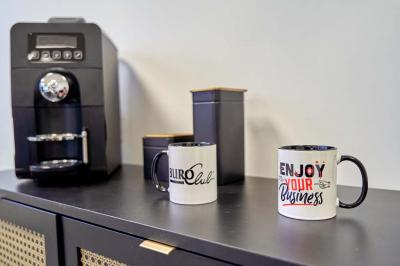 Location salle Mundolsheim (Bas-Rhin) - BURO Club Strasbourg Mundolsheim #30