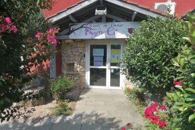 Arbre décoratif avec branches noires ornées de fleurs artificielles et de petites décorations suspendues.