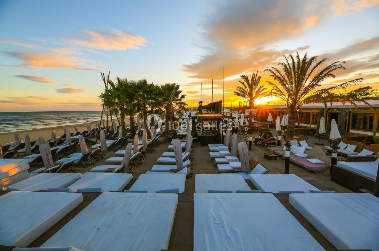 Terrasse d'une plage aménagée avec transats et parasols, bordée de palmiers, au coucher du soleil.