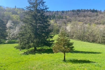 Location salle Montanges (Ain) - Domaine du Très-Haut  #47