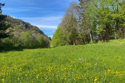 Plaque en pierre gravée avec des inscriptions dorées et un motif de croix ailée au-dessus du texte.