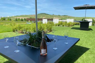 Location salle Pierry (Marne) - Paul Berthelot Events #19