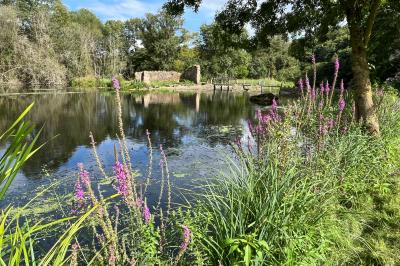 Groupe de personnes rassemblées sur une terrasse en bord de rivière, entourée de verdure et décorée de guirlandes lumineuses.