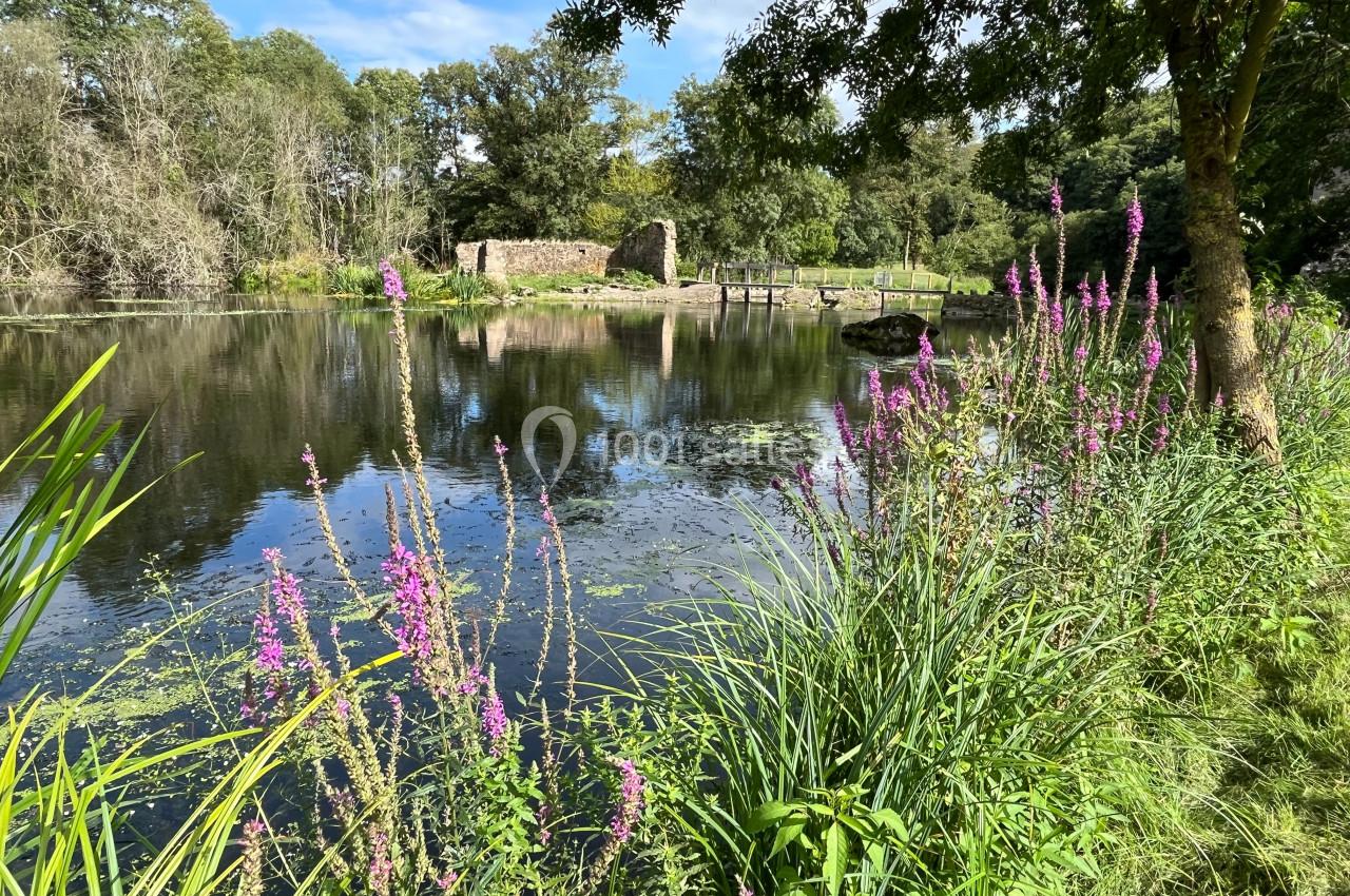 Étang calme entouré de végétation, avec des fleurs violettes au premier plan et des ruines en arrière-plan.