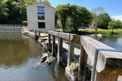 Groupe de personnes rassemblées sur une terrasse en bord de rivière, entourée de verdure et décorée de guirlandes lumineuses.