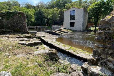 Groupe de personnes rassemblées sur une terrasse en bord de rivière, entourée de verdure et décorée de guirlandes lumineuses.