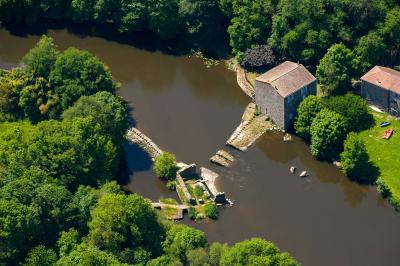 Groupe de personnes rassemblées sur une terrasse en bord de rivière, entourée de verdure et décorée de guirlandes lumineuses.