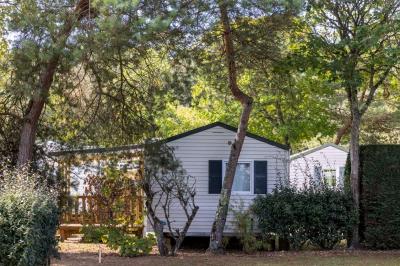 Salle de bain lumineuse avec douche vitrée, lavabo blanc, miroir, et accessoires de toilette.