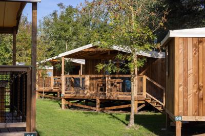 Salle de bain lumineuse avec douche vitrée, lavabo blanc, miroir, et accessoires de toilette.