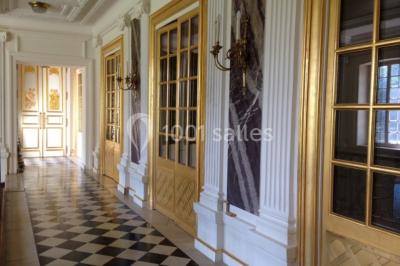 Trois cerfs dans une clairière, deux broutant l'herbe et un levant la tête près d'une forêt dense.