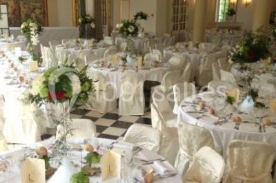 Trois cerfs dans une clairière, deux broutant l'herbe et un levant la tête près d'une forêt dense.