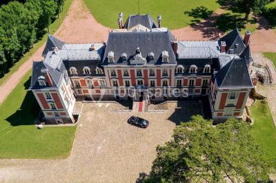 Trois cerfs dans une clairière, deux broutant l'herbe et un levant la tête près d'une forêt dense.
