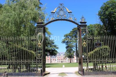 Trois cerfs dans une clairière, deux broutant l'herbe et un levant la tête près d'une forêt dense.