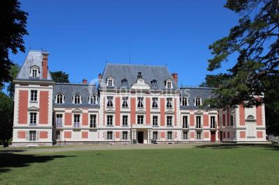 Trois cerfs dans une clairière, deux broutant l'herbe et un levant la tête près d'une forêt dense.