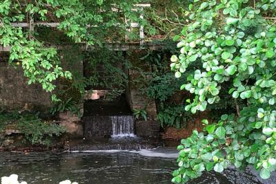 Location salle Montigny-le-Chartif (Eure-et-Loir) - La Villa du Grand Parc #51