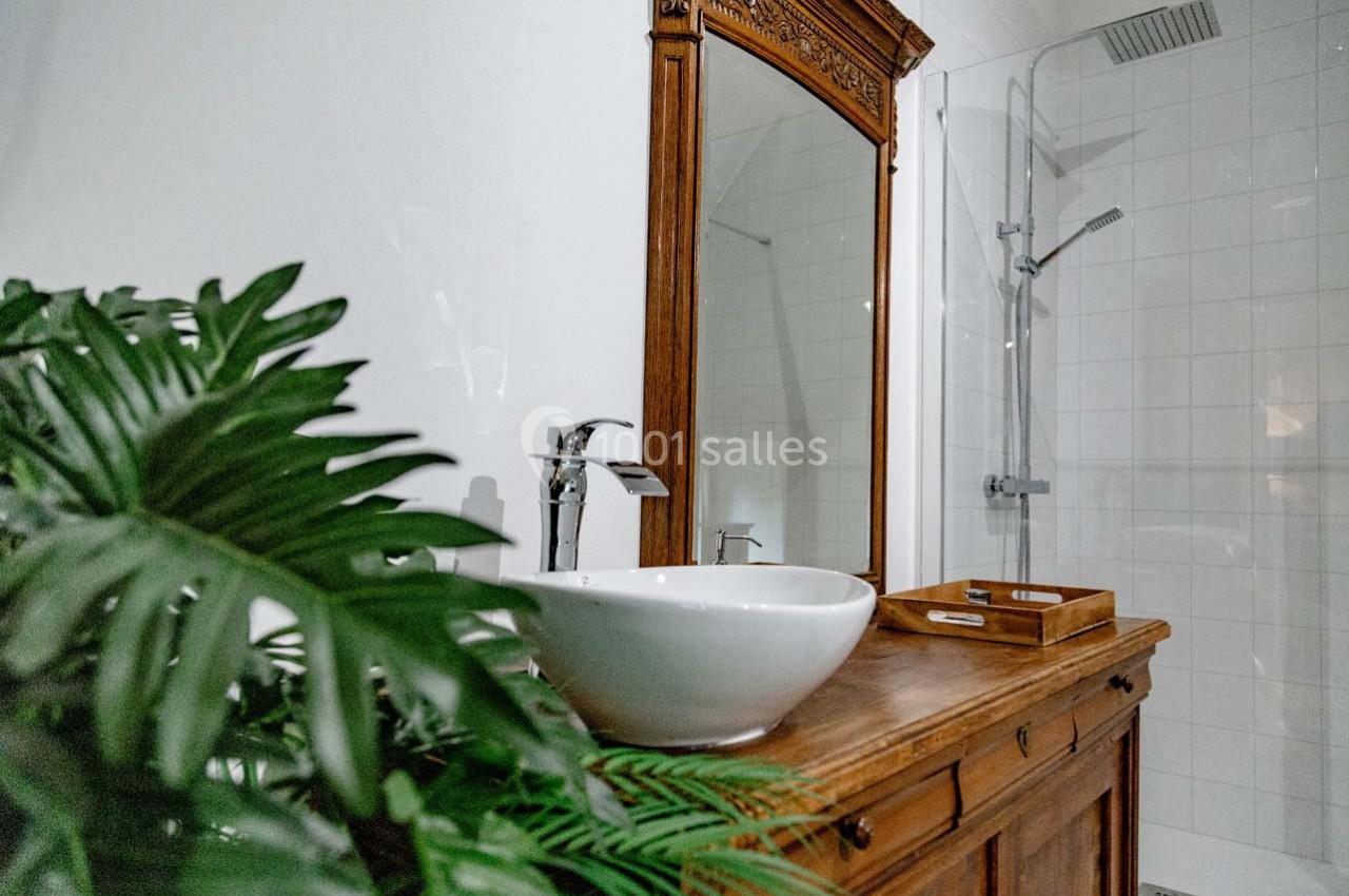Meuble en bois avec vasque blanche, miroir encadré, plante verte et douche en arrière-plan dans une salle de bain.