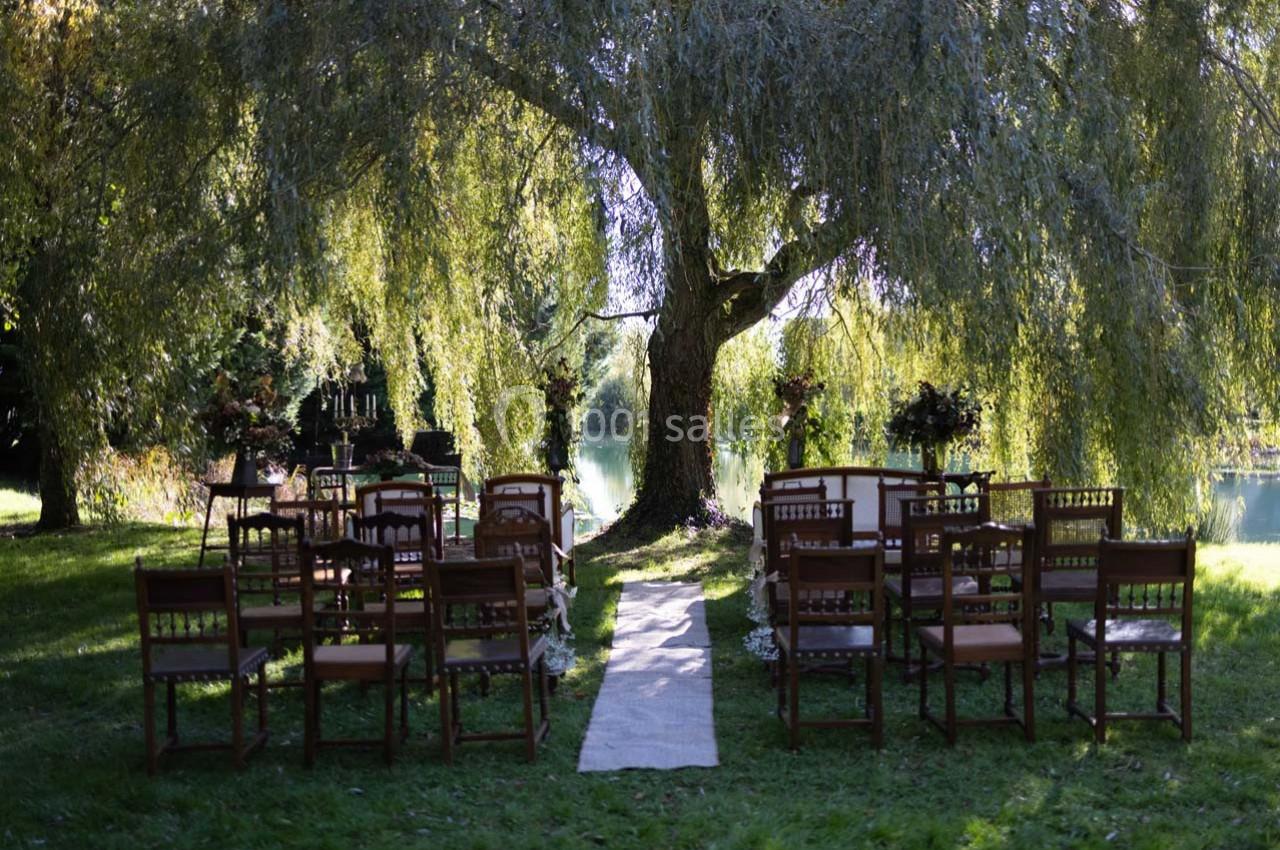 Chaises en bois disposées en rangées sous un grand saule, avec une allée centrale menant à un espace de cérémonie en plein…