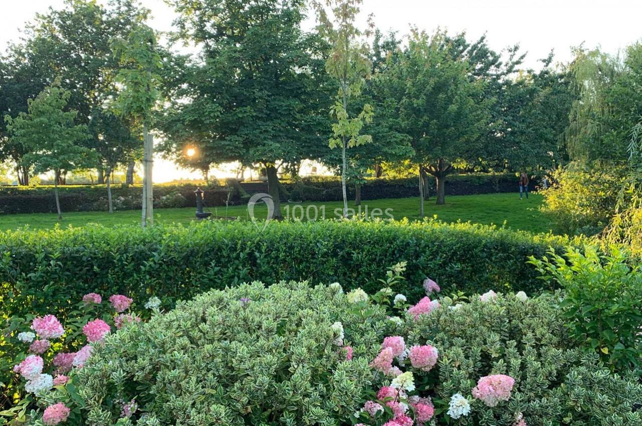 Jardin verdoyant avec des arbustes fleuris au premier plan et des arbres éclairés par un coucher de soleil en arrière-plan.