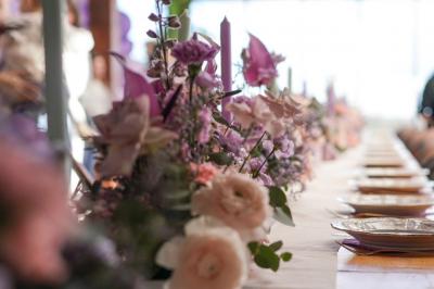 Cheval brun avec une marque blanche sur le front broutant de l'herbe dans un champ verdoyant.