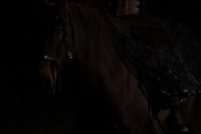 Une femme jongle avec des anneaux enflammés lors d'une performance nocturne en extérieur.