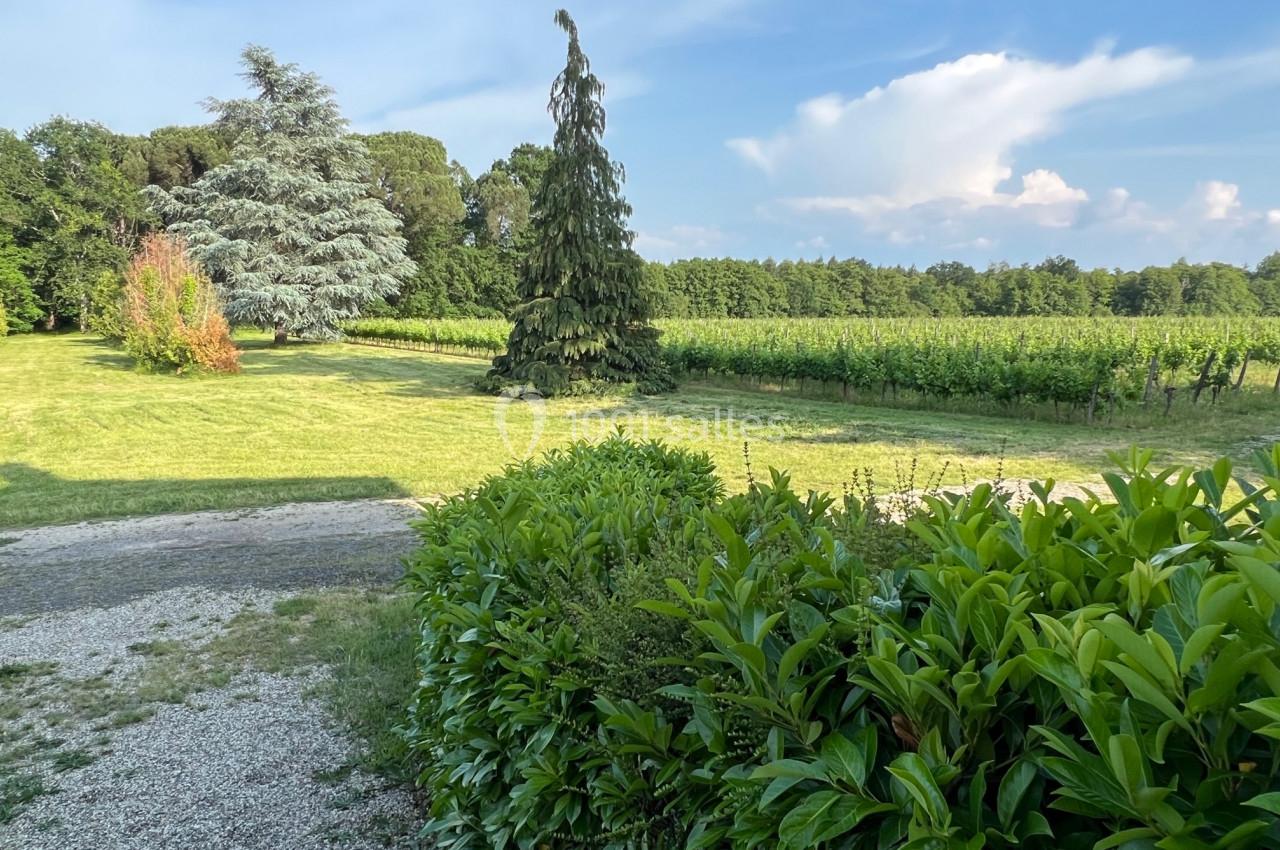 Paysage avec pelouse, allée gravillonnée, arbustes au premier plan, arbres et vignoble sous un ciel bleu.