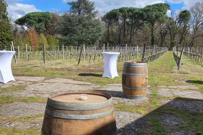 Intérieur d'une tente éclairée en rouge, avec des tables rondes et des chaises blanches disposées pour un événement.