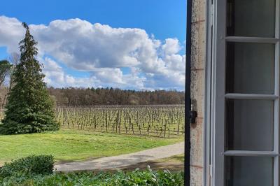 Intérieur d'une tente éclairée en rouge, avec des tables rondes et des chaises blanches disposées pour un événement.