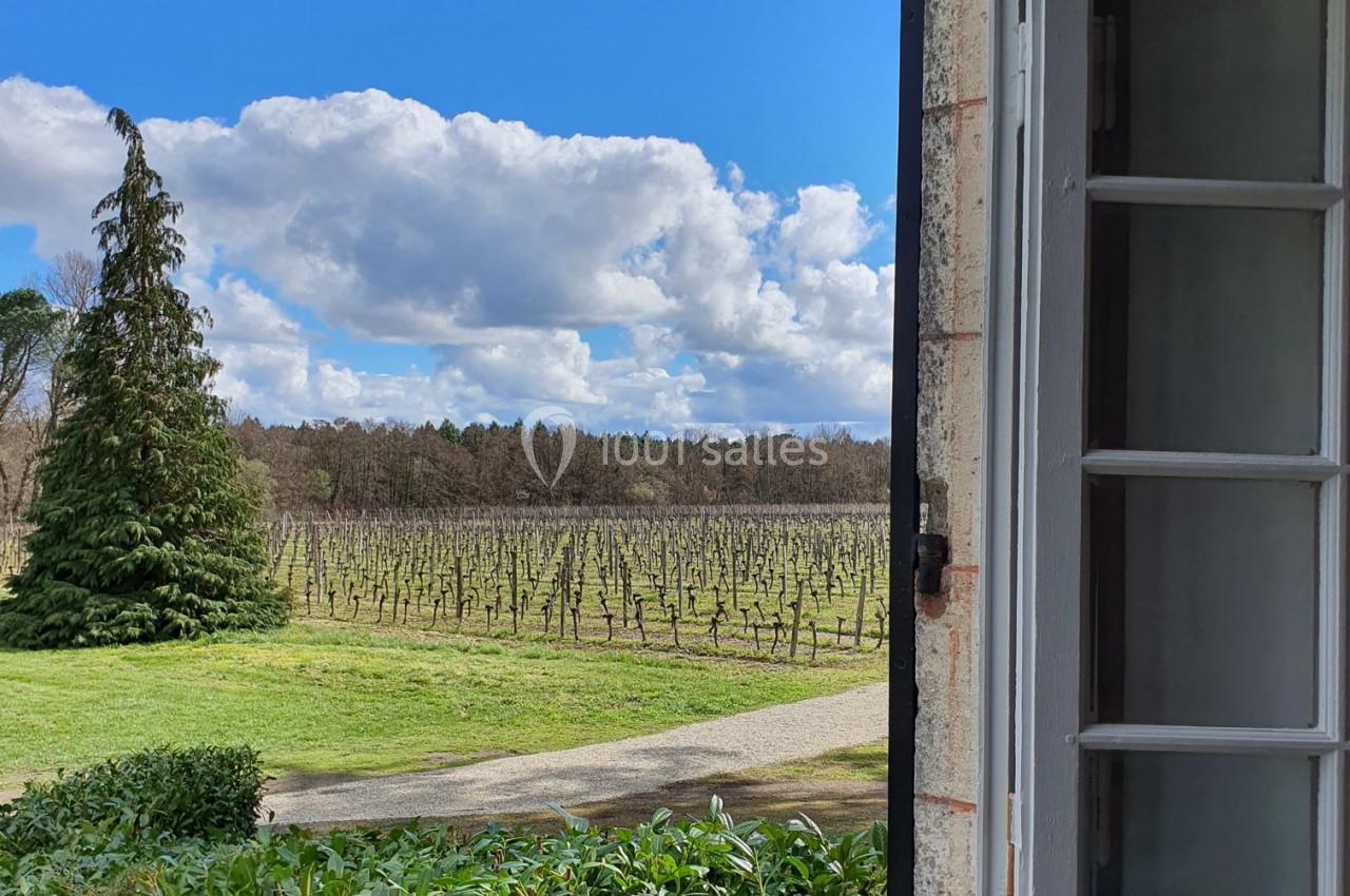 Vue depuis une fenêtre ouverte sur un jardin verdoyant, des vignes et un ciel bleu parsemé de nuages.