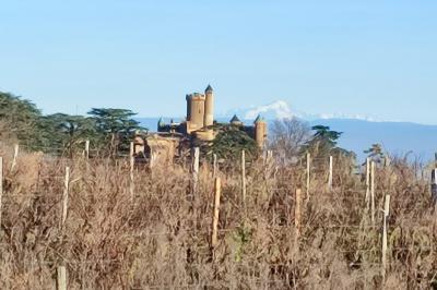 Location salle Montmelas-Saint-Sorlin (Rhône) - Château de Montmelas #27