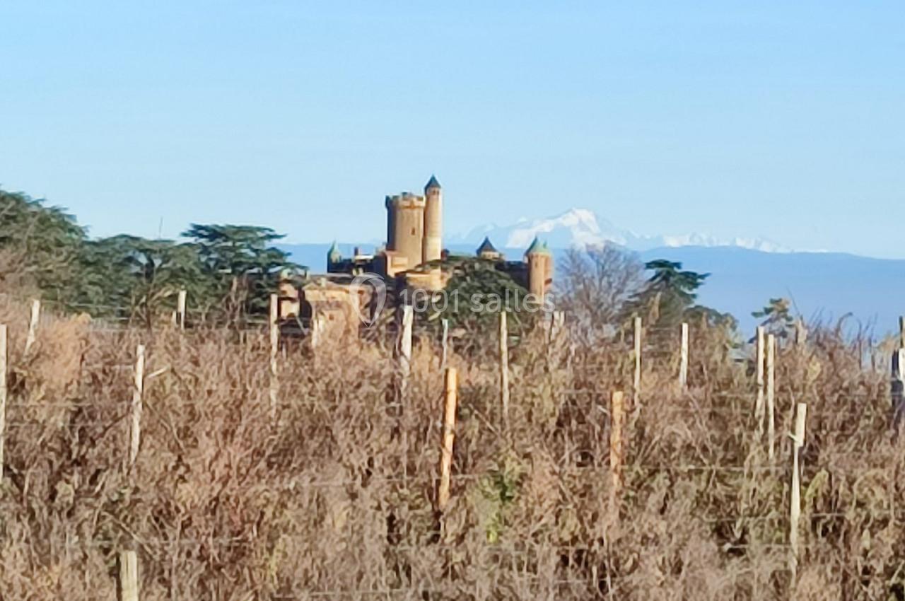 Location salle Montmelas-Saint-Sorlin (Rhône) - Château de Montmelas #25