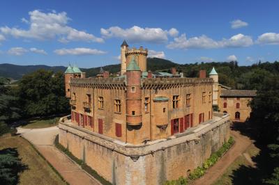 Location salle Montmelas-Saint-Sorlin (Rhône) - Château de Montmelas #27