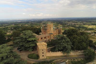 Location salle Montmelas-Saint-Sorlin (Rhône) - Château de Montmelas #27
