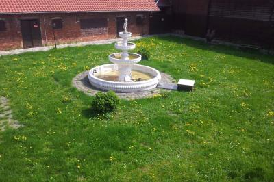 Plusieurs tentes colorées installées sur un terrain herbeux entouré d'arbres.