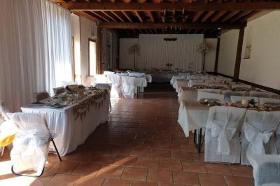 Plusieurs tentes colorées installées sur un terrain herbeux entouré d'arbres.