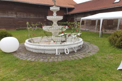 Plusieurs tentes colorées installées sur un terrain herbeux entouré d'arbres.