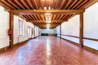 Plusieurs tentes colorées installées sur un terrain herbeux entouré d'arbres.