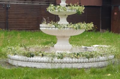 Plusieurs tentes colorées installées sur un terrain herbeux entouré d'arbres.