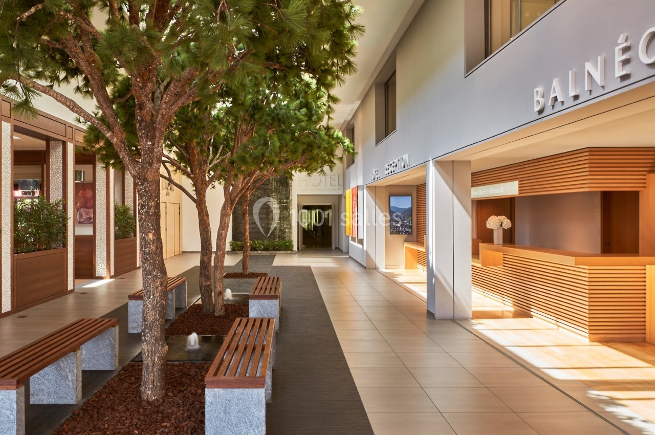 Hall d'entrée lumineux avec arbres, bancs en pierre, réception en bois et signalétique indiquant un espace balnéo.