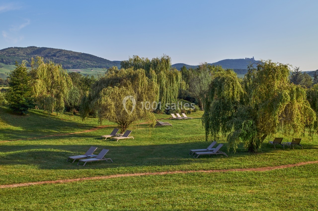 Chaises longues disposées sur une pelouse verdoyante avec des arbres et des collines en arrière-plan sous un ciel dégagé.