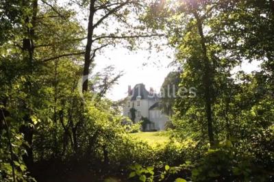 Location salle Verneuil-Moustiers (Haute-Vienne) - Château Domaine du Fan #24
