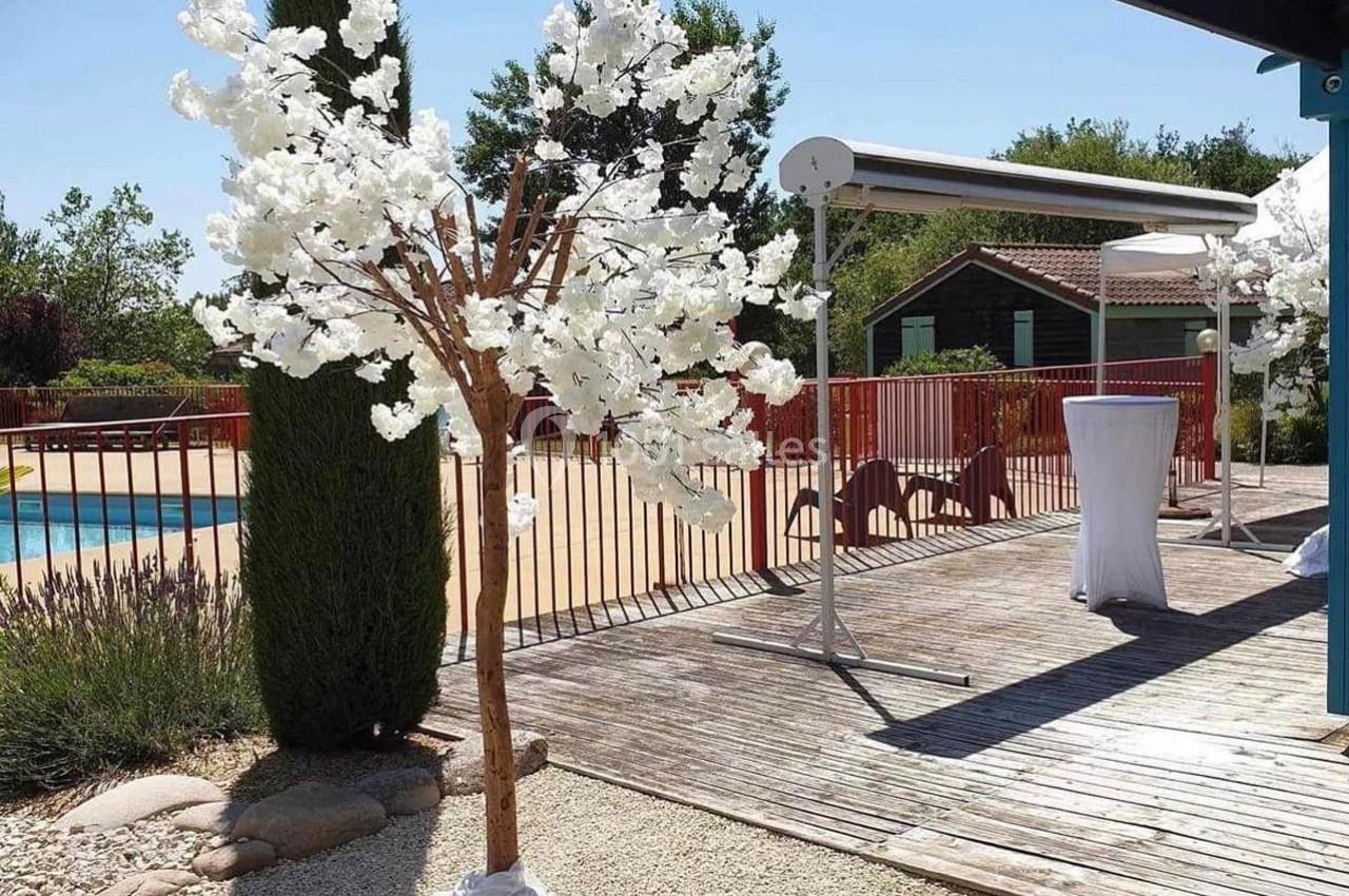 Arbre décoratif aux fleurs blanches sur une terrasse en bois près d'une piscine, entourée de barrières rouges.