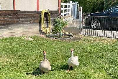Tables rondes empilées verticalement et chaises empilées dans un couloir étroit avec un sol en carrelage gris.