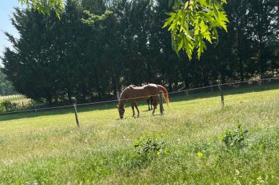 Tables rondes empilées verticalement et chaises empilées dans un couloir étroit avec un sol en carrelage gris.