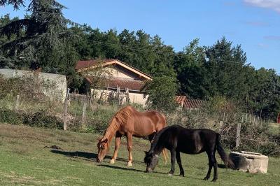 Tables rondes empilées verticalement et chaises empilées dans un couloir étroit avec un sol en carrelage gris.