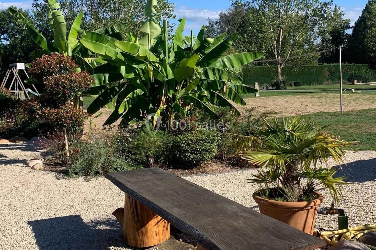 Banc en bois devant des plantes tropicales, dont des bananiers, dans un jardin avec sol en gravier et pelouse en arrière…