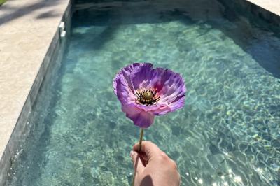 Table dressée avec vaisselle et fleurs bleues près d'une piscine entourée de dalles claires et de végétation.